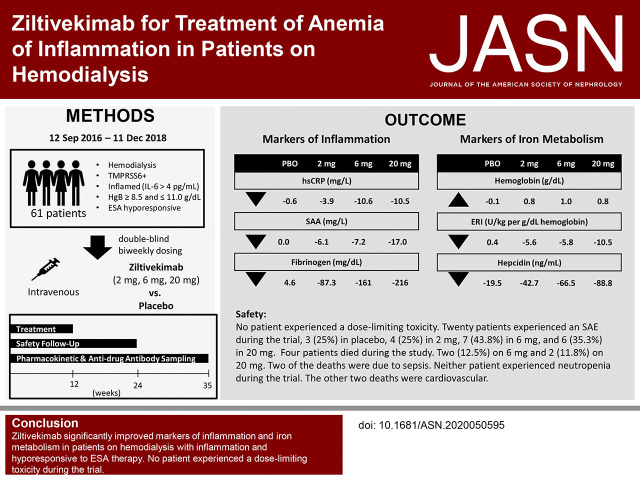 graphic file with name ASN.2020050595absf1.jpg