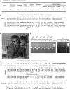 Figure 3.