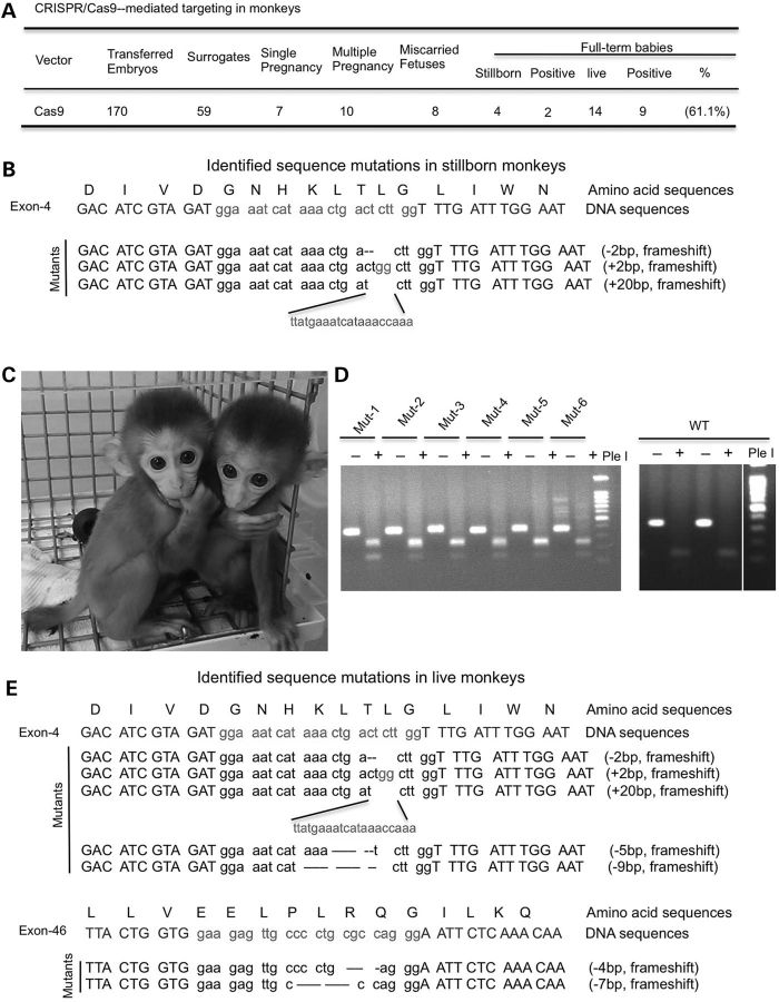 Figure 3.