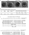 Figure 2.