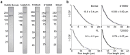 Extended Data Figure 6.