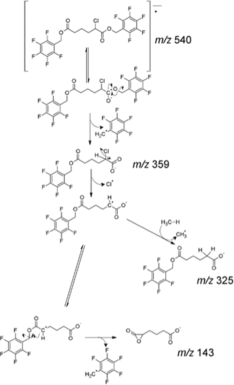 SCHEME 2.