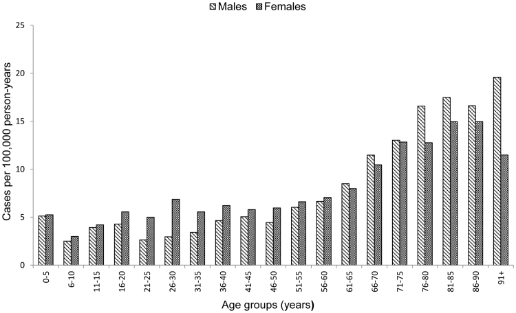 Fig. 3.