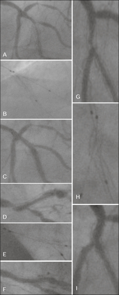 Figure 3)