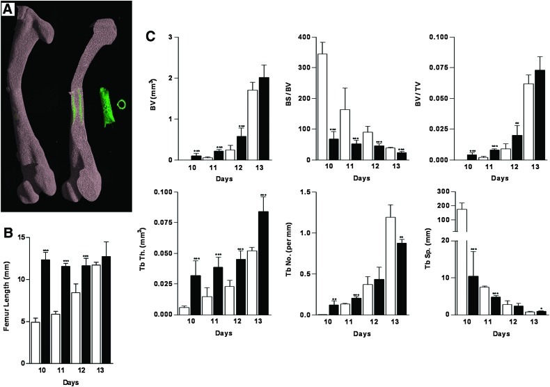 FIG. 8.