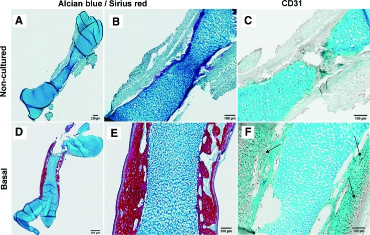 FIG. 9.