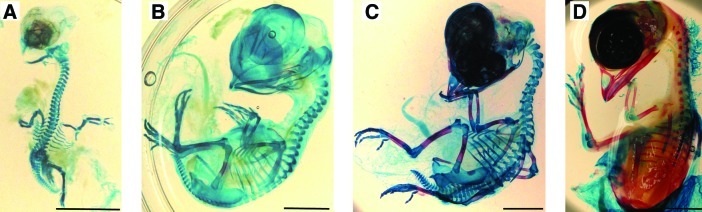 FIG. 2.