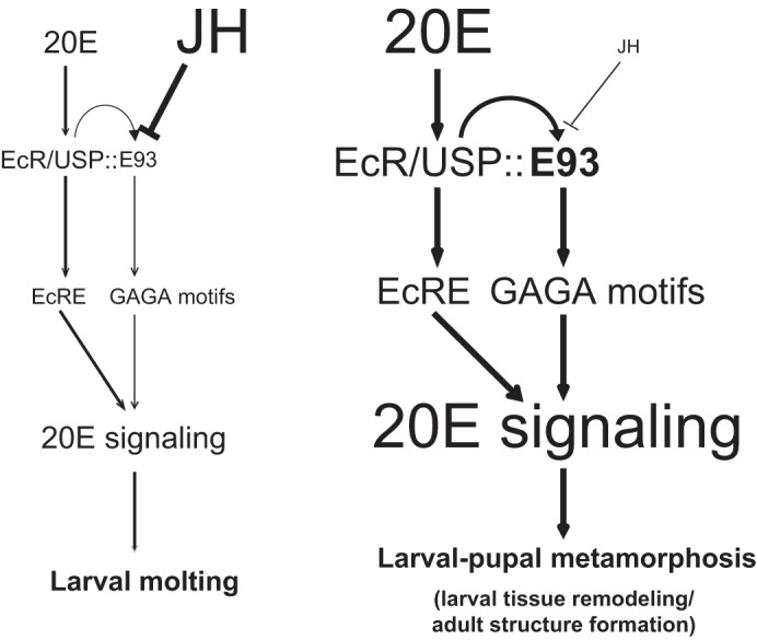 FIGURE 10.