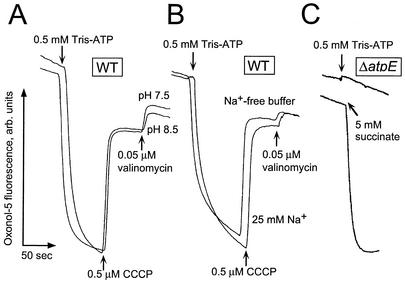 FIG. 2.