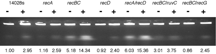 Fig. 2.