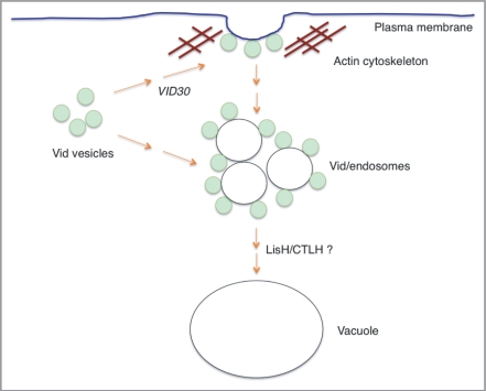 Figure 12