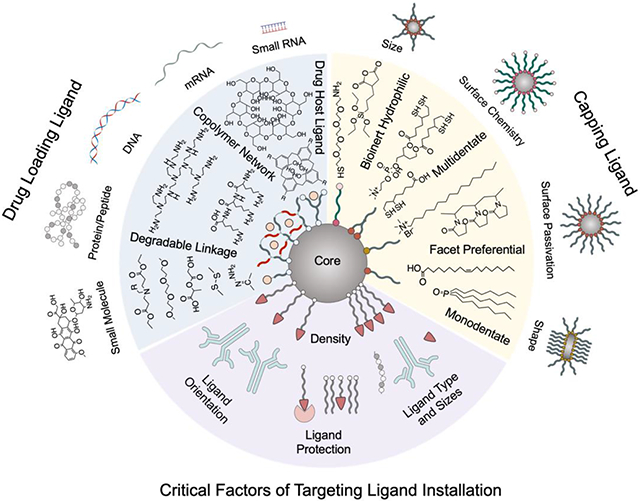 graphic file with name nihms-2018527-f0001.jpg