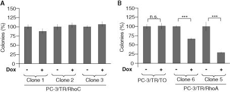 FIGURE 6: