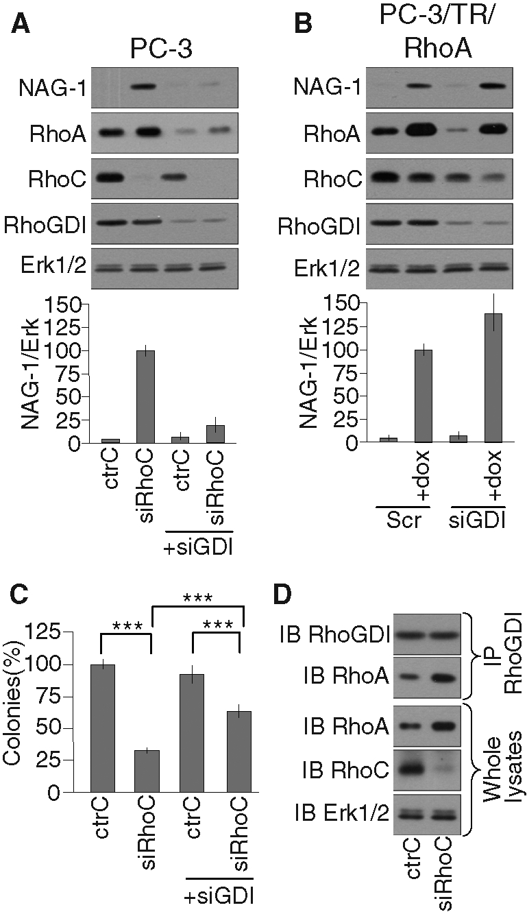 FIGURE 7: