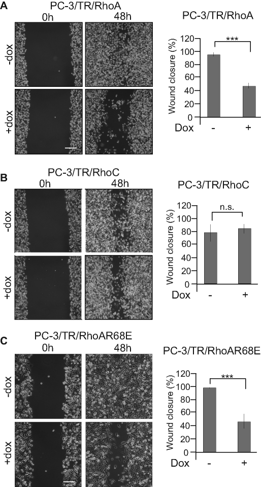 FIGURE 11: