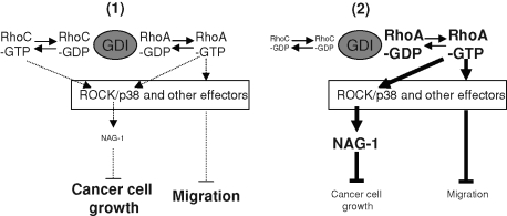 FIGURE 13: