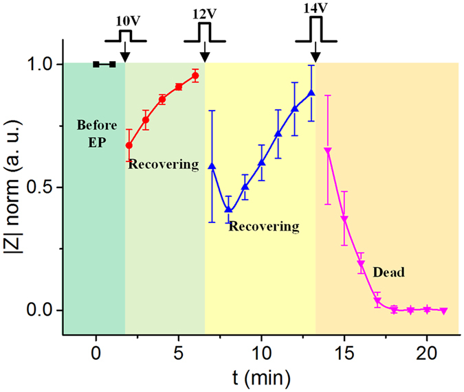 Figure 6