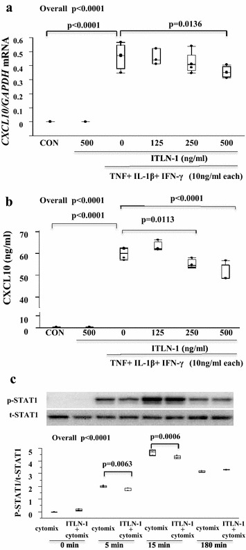 Fig. 6