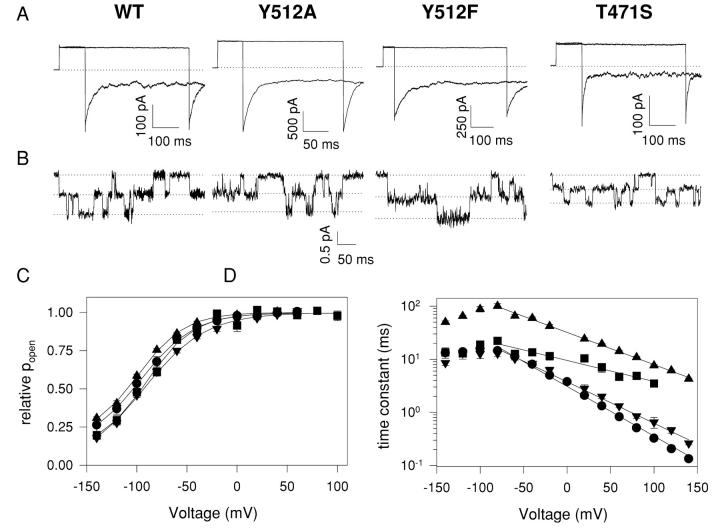 Figure 11. 