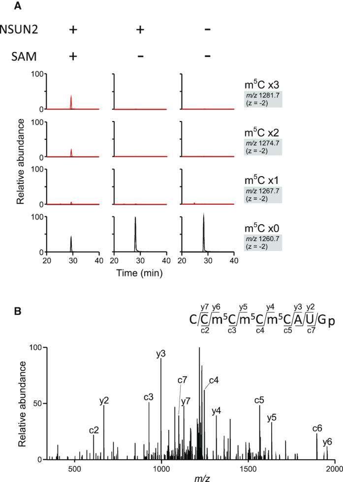 Figure 3.