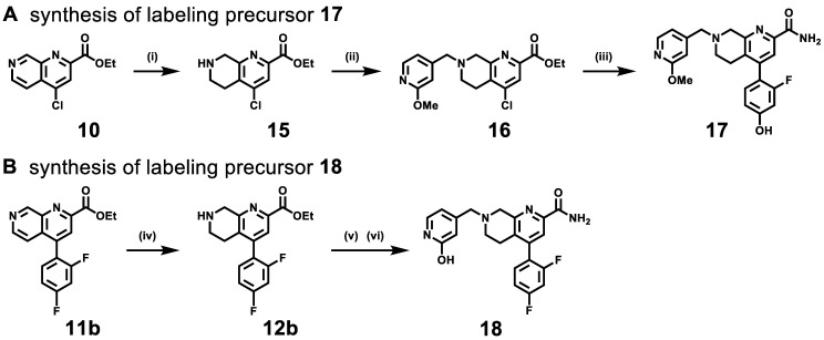 Scheme 2