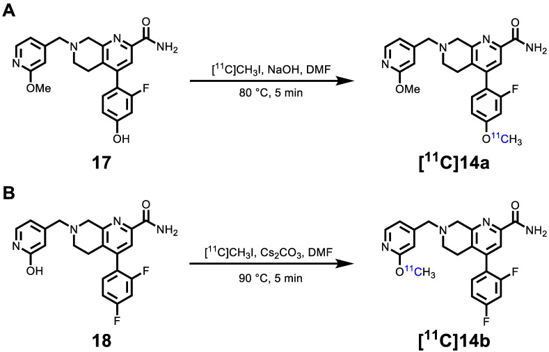 Scheme 3