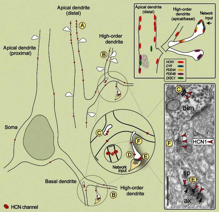 Figure 6.