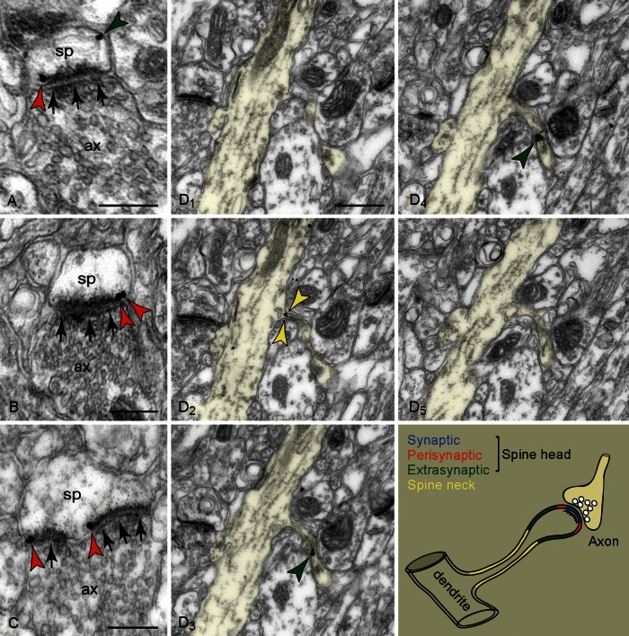 Figure 3.