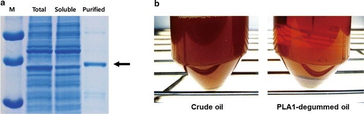 Fig. 3