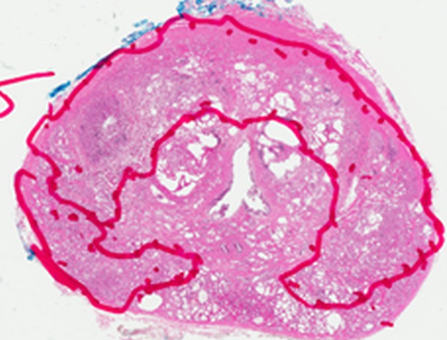 Figure 4e: