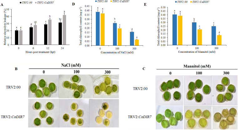 Figure 13