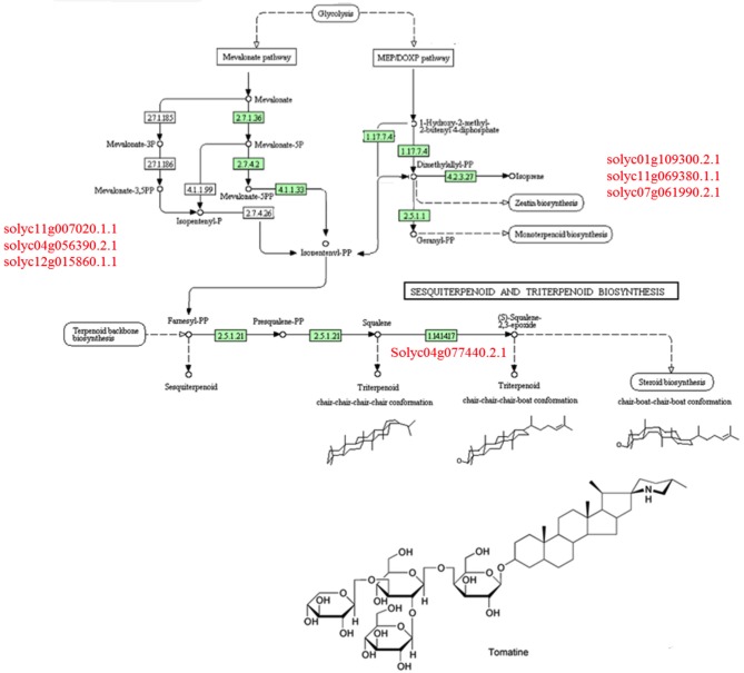 Figure 10