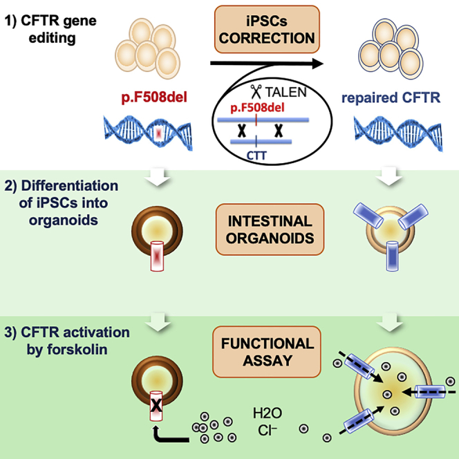 graphic file with name fx1.jpg