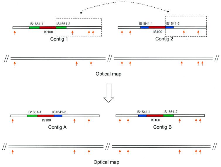 FIG. 2.