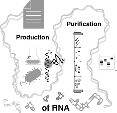 Graphical abstract