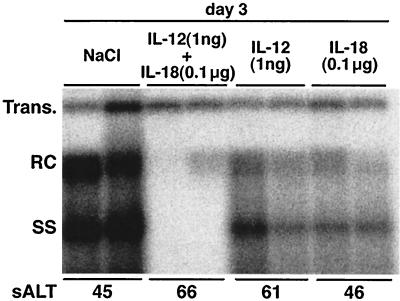 FIG. 6.