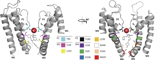 FIGURE 8.