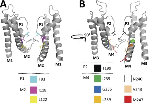 FIGURE 7.