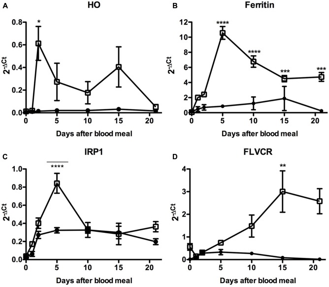 FIGURE 10