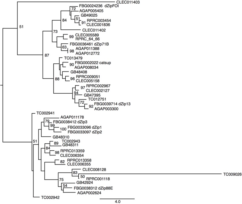 FIGURE 6