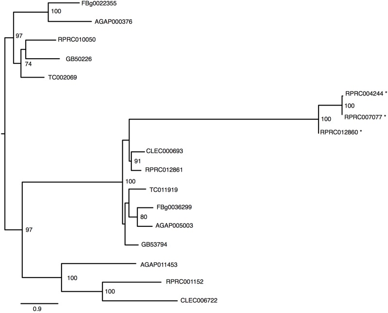 FIGURE 4