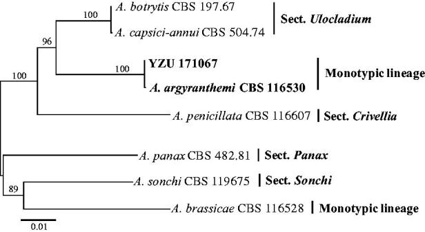 Figure 3.