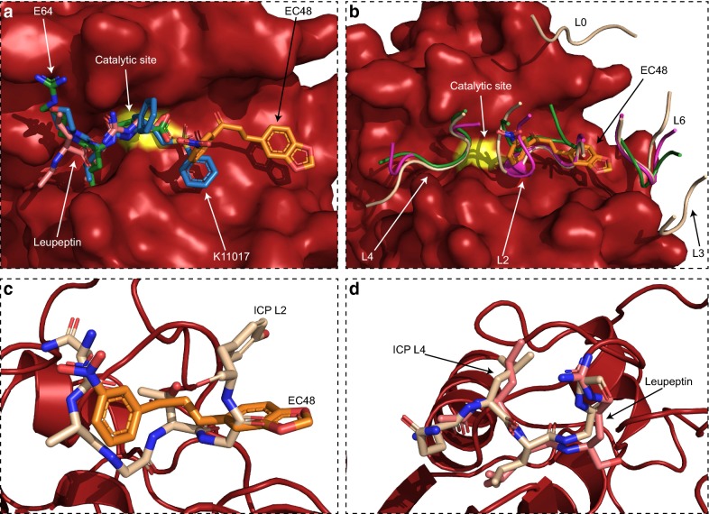 Fig. 3