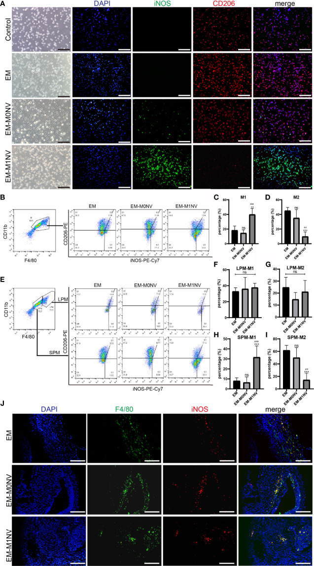 Figure 6