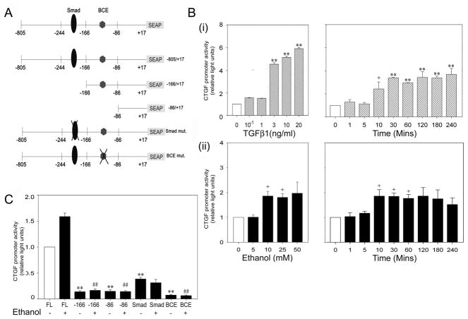 Fig.3