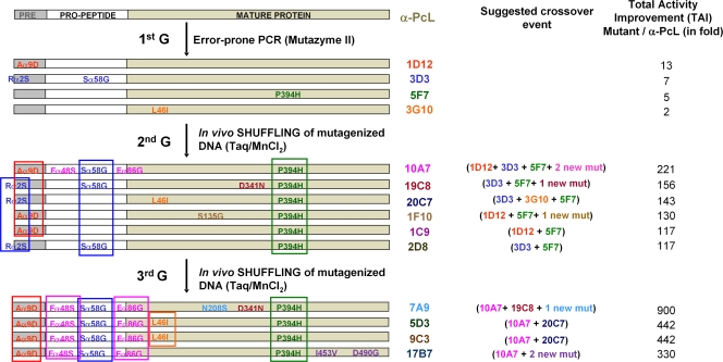 Fig 3