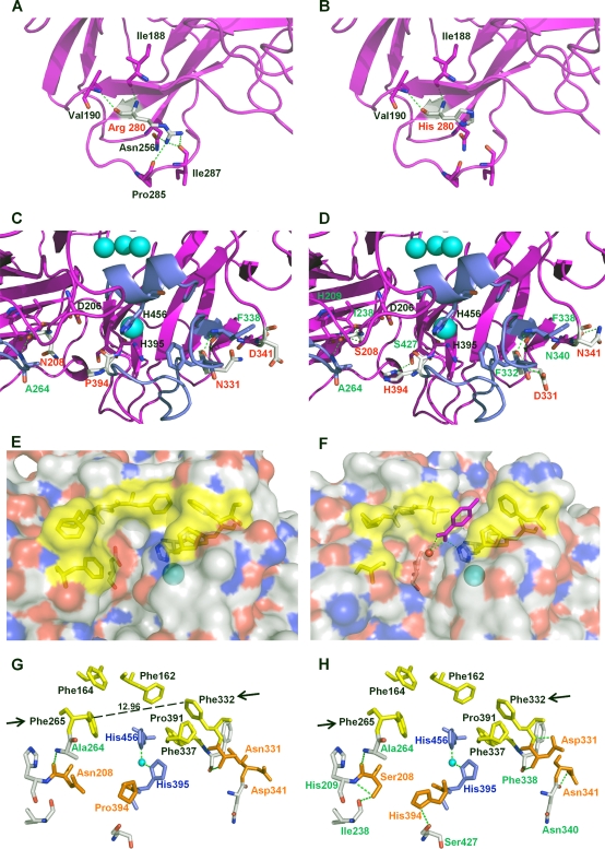 Fig 6