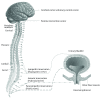 Figure 3 .