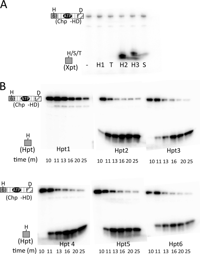 FIGURE 6.