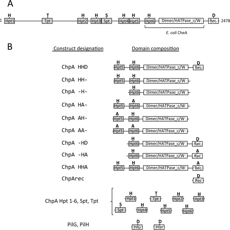 FIGURE 1.